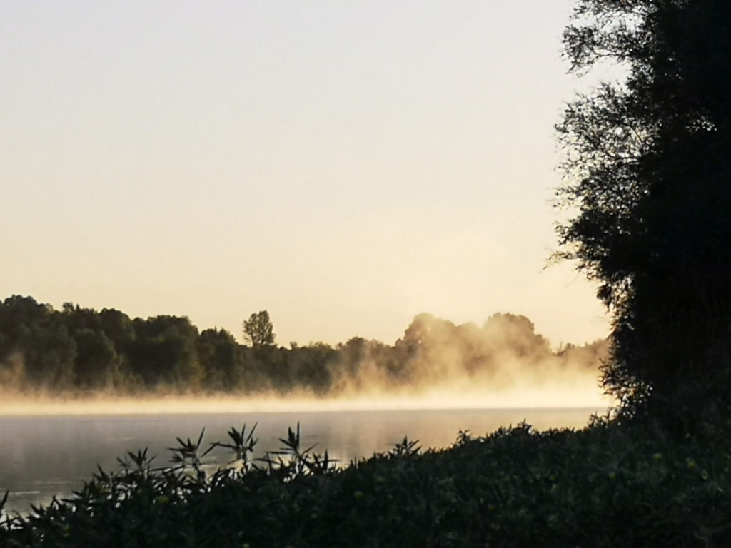 Chaumont-sur-Loire - Nebel am Morgen